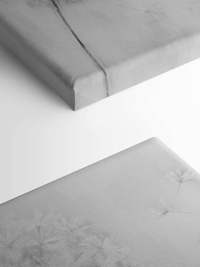 Dandelion flower with seeds flying in the air