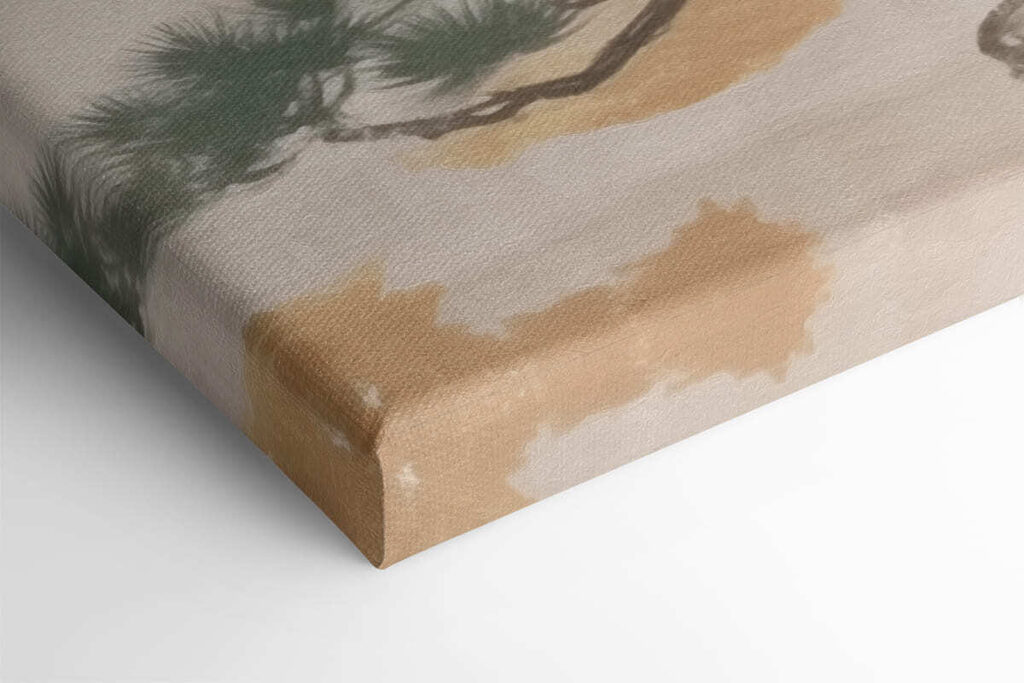 Tree on a rock Tree on a rock