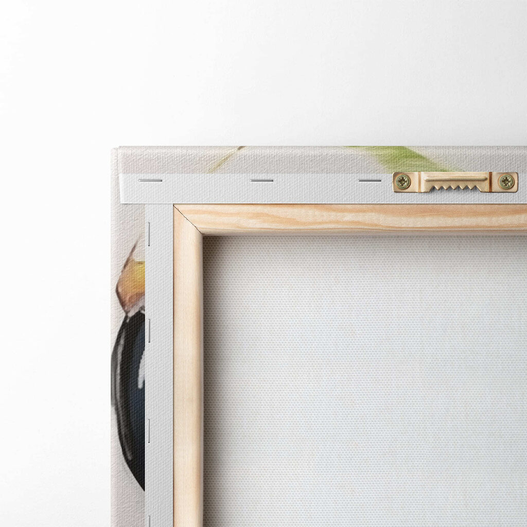 Colorful bird with black beak Colorful bird with black beak