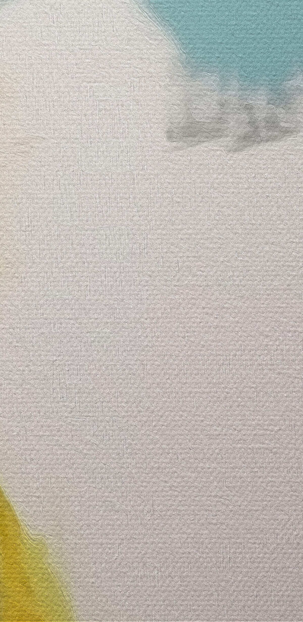 Pasăre colorată cu cioc negru Pasăre colorată cu cioc negru