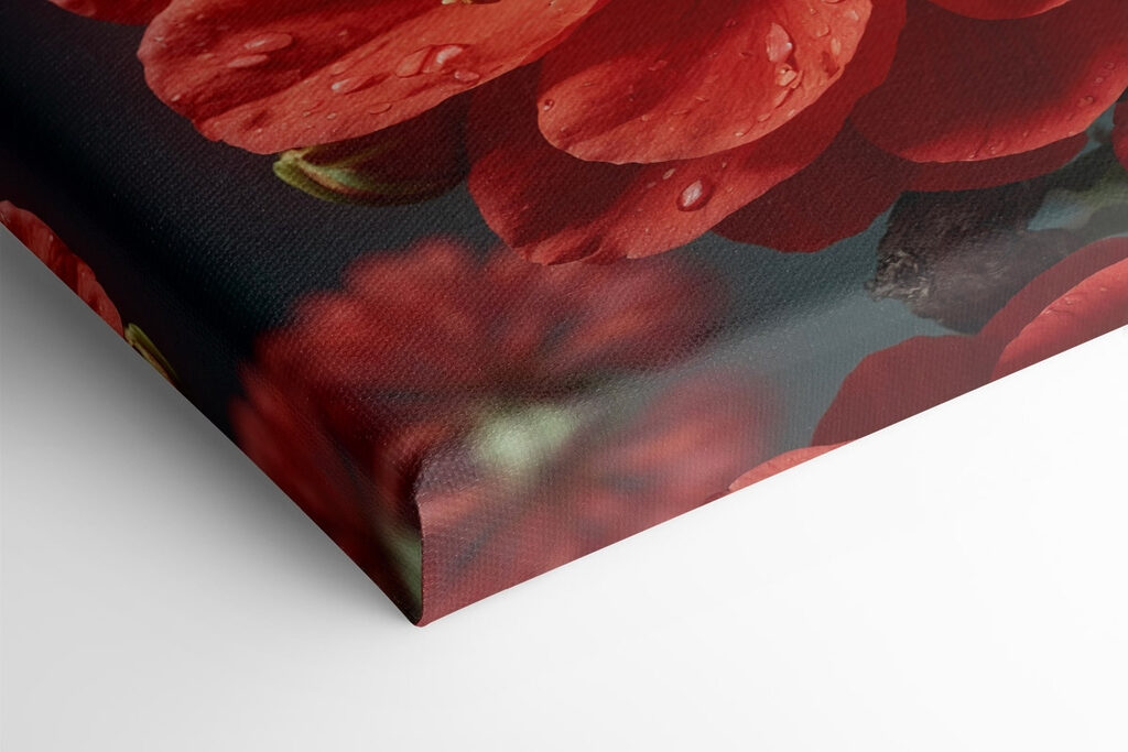 Vibrant bloom with delicate water droplets