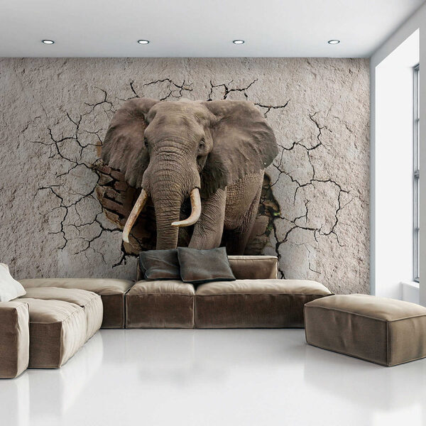 Un elefant care trece printr-un zid Un elefant care trece printr-un zid