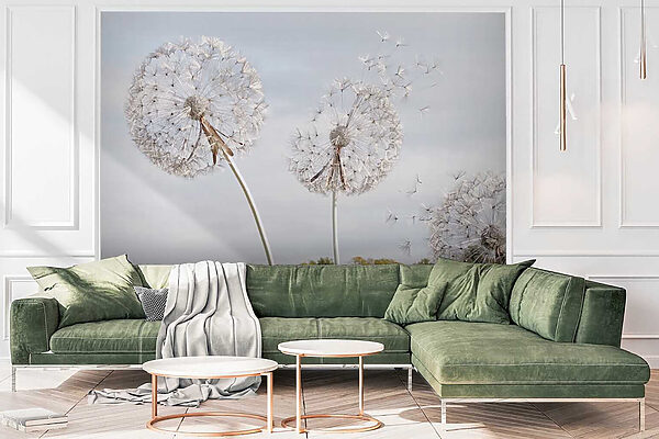 Group of dandelions with seeds Group of dandelions with seeds