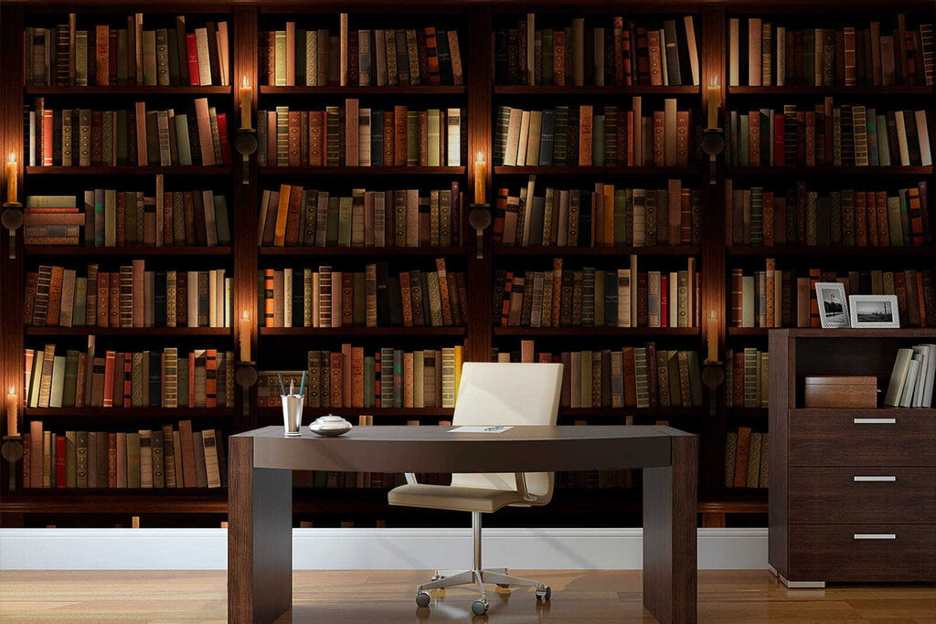 Large bookcase full of books