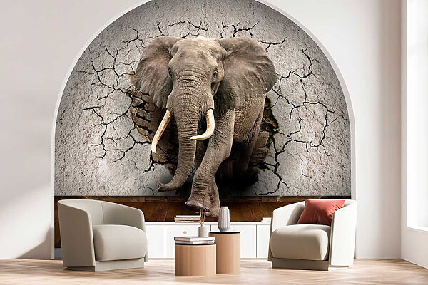 Un elefant care trece printr-un zid Un elefant care trece printr-un zid