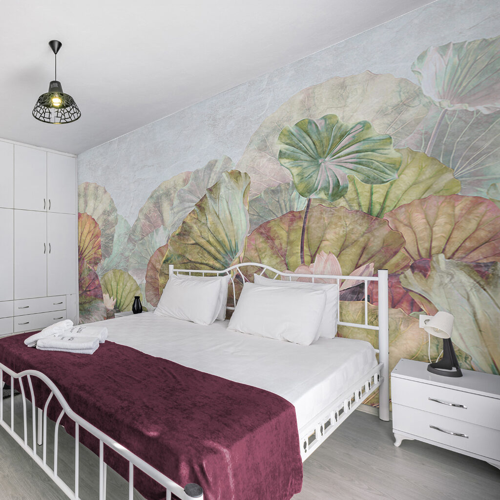 Delicate water lily leaves and blossoms