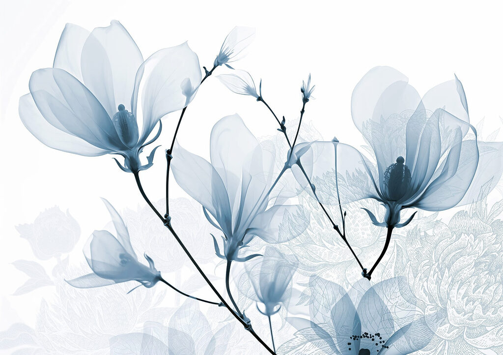 Inflorescențe delicate în nuanțe moi Inflorescențe delicate în nuanțe moi