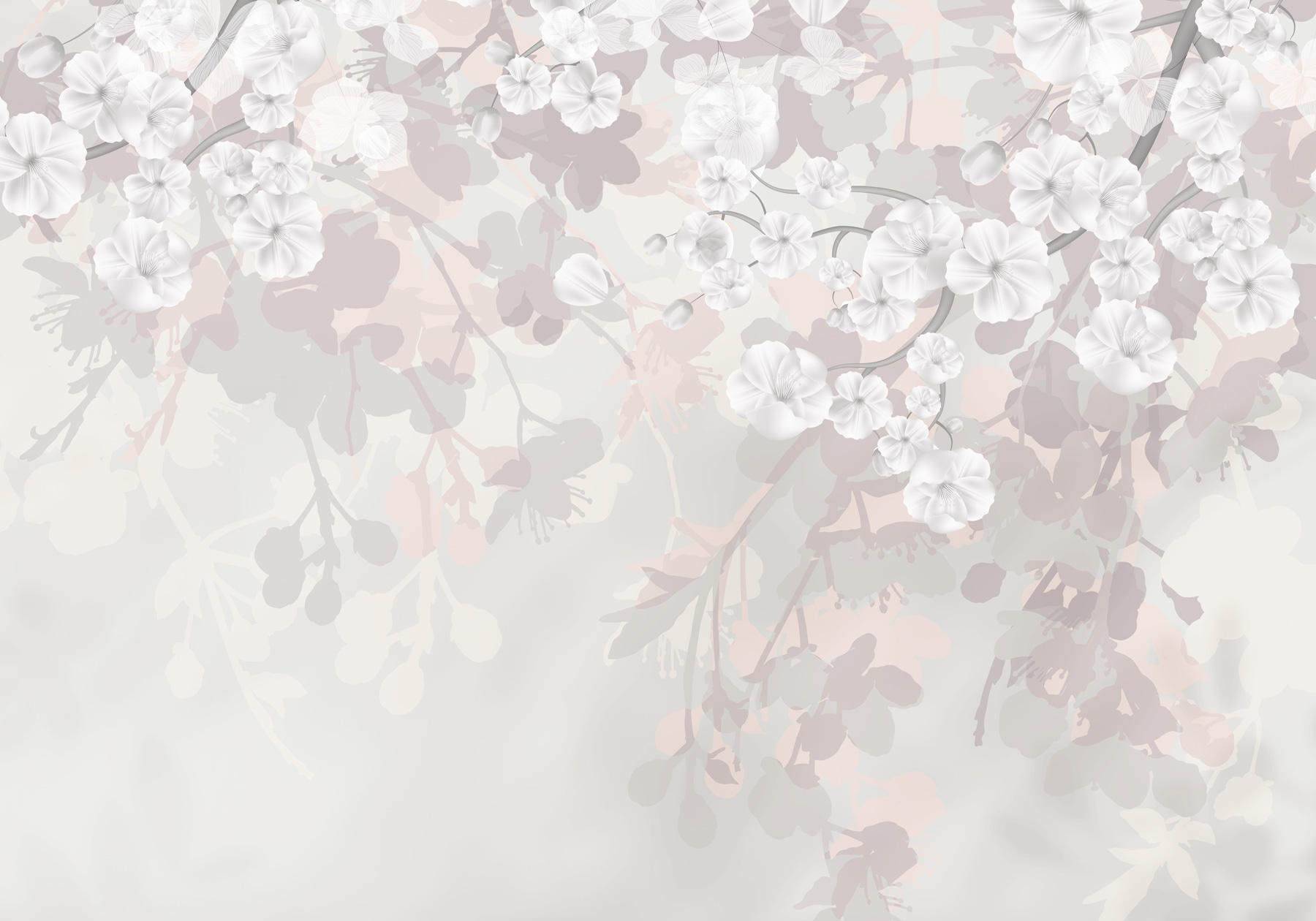 White flowers on a white background White flowers on a white background