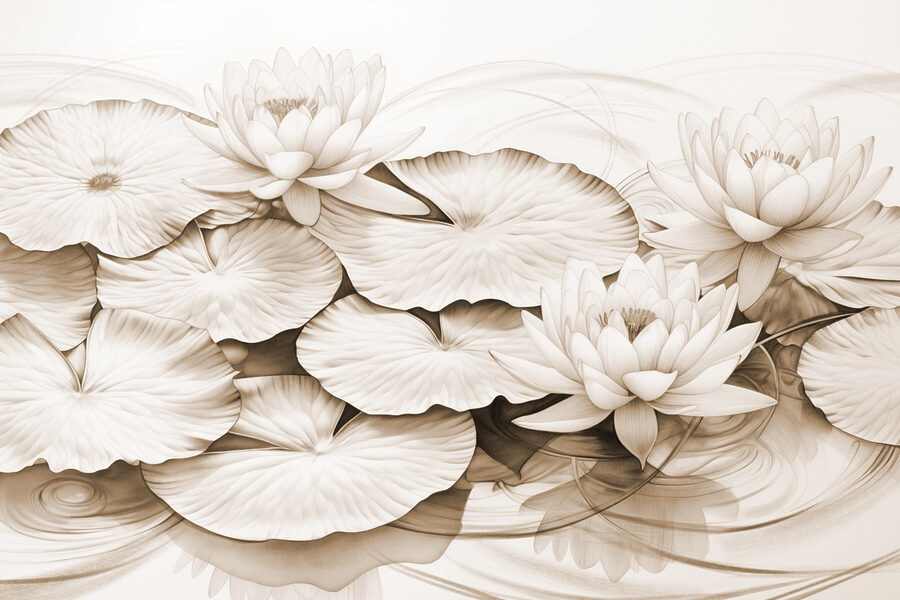 Drawing of lily pads and water lilies Drawing of lily pads and water lilies