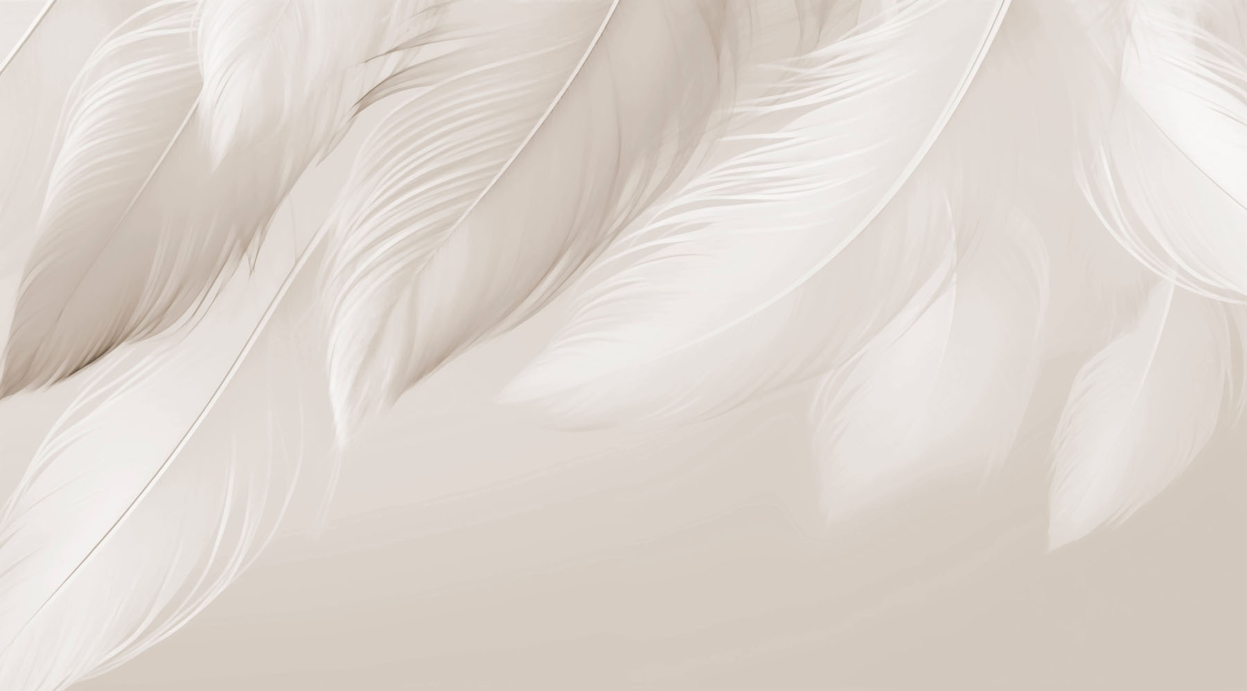 Delicate feathers on soft backdrop