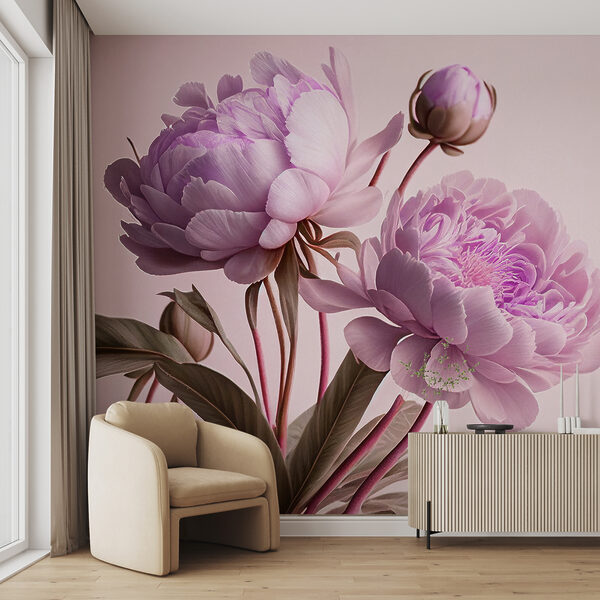 Bujori roz elegant în floare moale. Bujori roz elegant în floare moale.