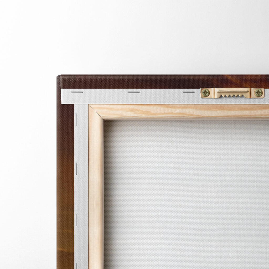 A field of red flowers A field of red flowers