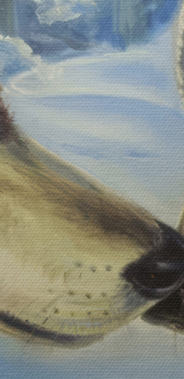 A painting of two wolves kissing A painting of two wolves kissing