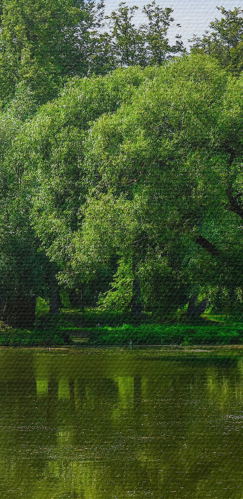 A window with a lake and trees