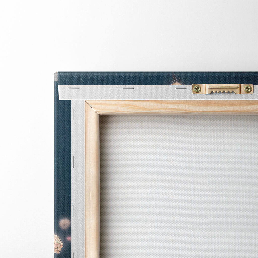 A white fluffy cat with blue eyes