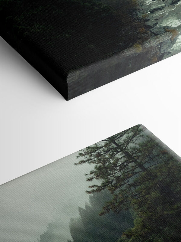 Un râu care trece printr-o pădure Un râu care trece printr-o pădure