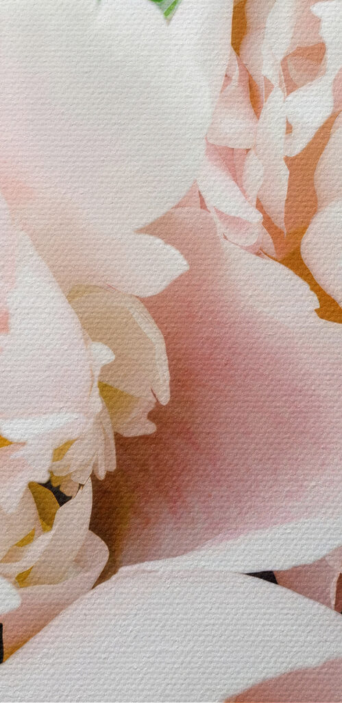 A group of pink flowers