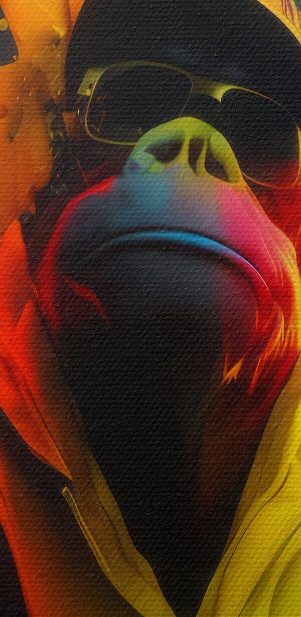Un colaj de imagini ale unei maimuțe cu stropi de vopsea colorată Un colaj de imagini ale unei maimuțe cu stropi de vopsea colorată