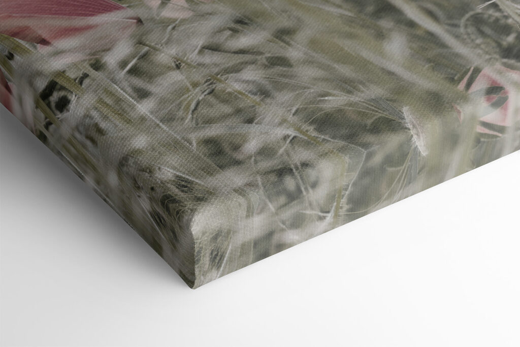 A field of pink flowers