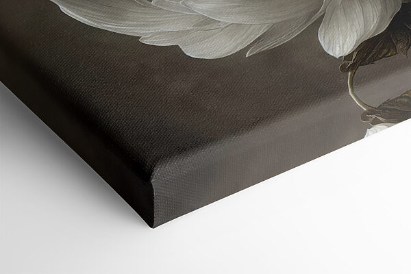 A white flower with a yellow center