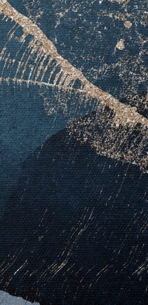 A close up of a leaf