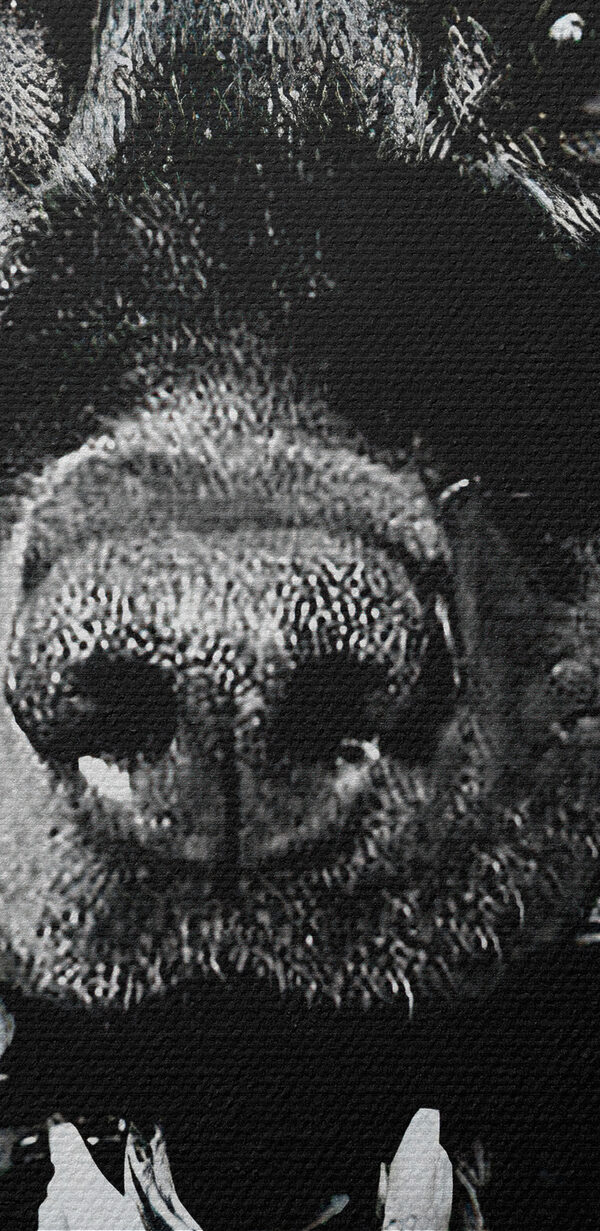Un câine cu un pistol în mână Un câine cu un pistol în mână
