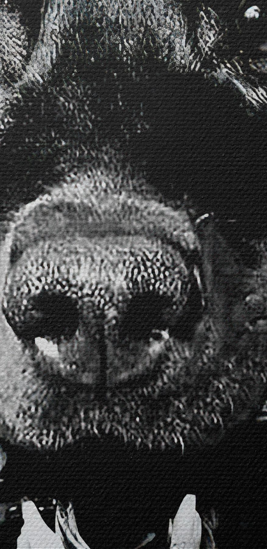 Un câine cu un pistol în mână