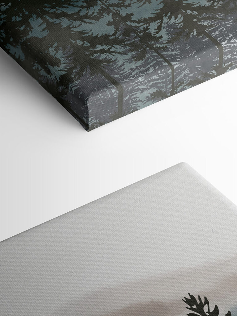 A group of trees in a forest