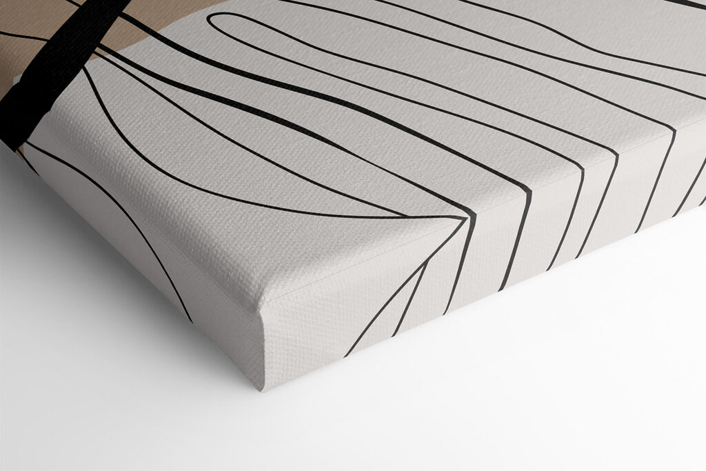 A close up of a leaf A close up of a leaf