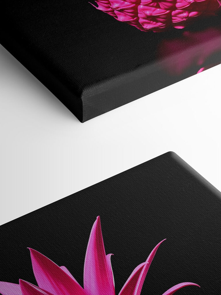 A pink pineapple with a black background A pink pineapple with a black background