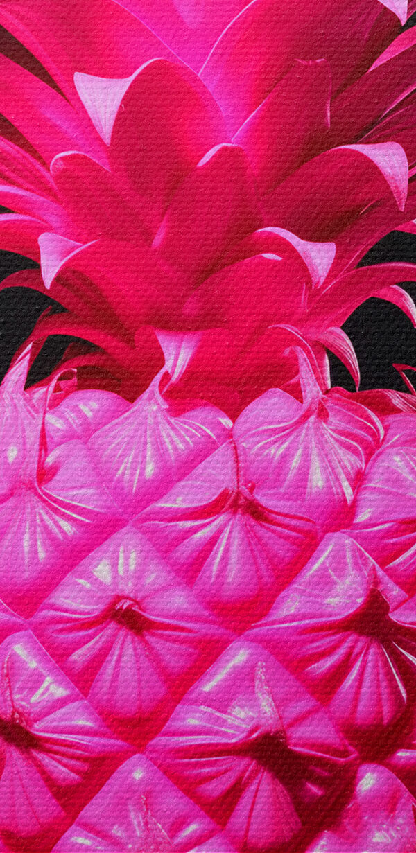 Un ananas roz cu un fundal negru Un ananas roz cu un fundal negru