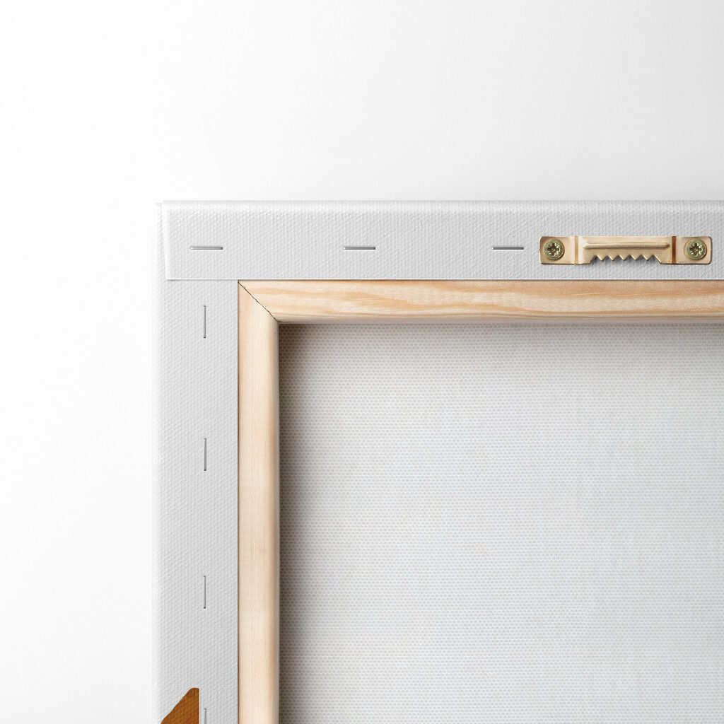 A lion with a large brown mane