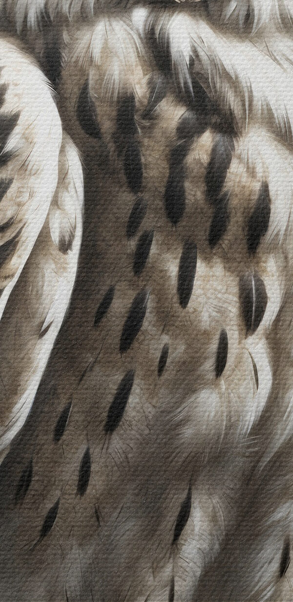 O pictură a unei bufnițe O pictură a unei bufnițe