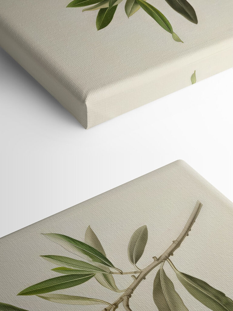 A green fruit on a branch