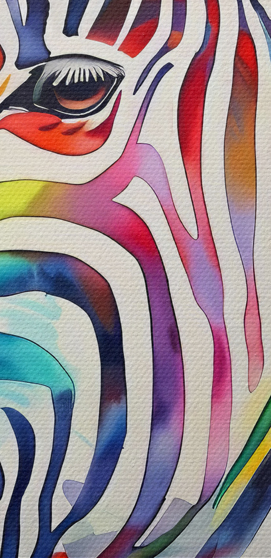 O zebră colorată cu culori de curcubeu
