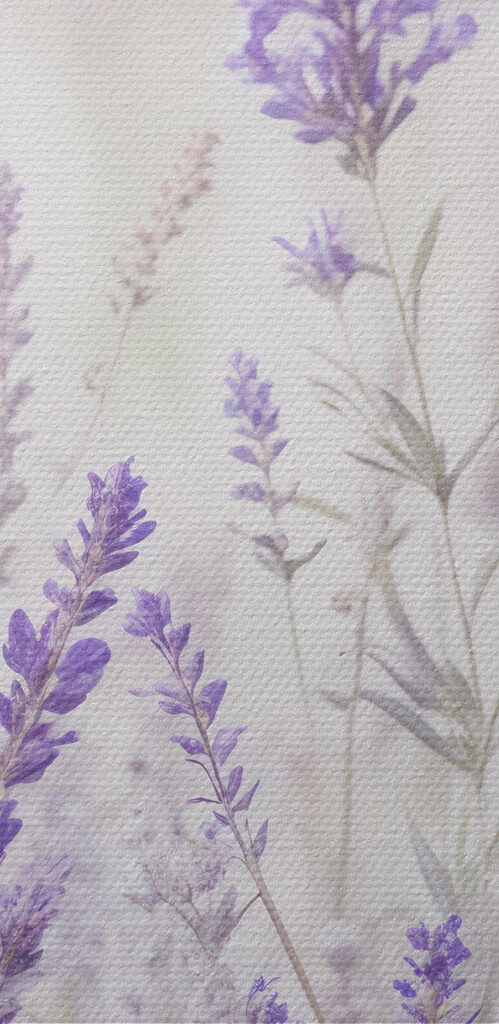 Group of purple flowers