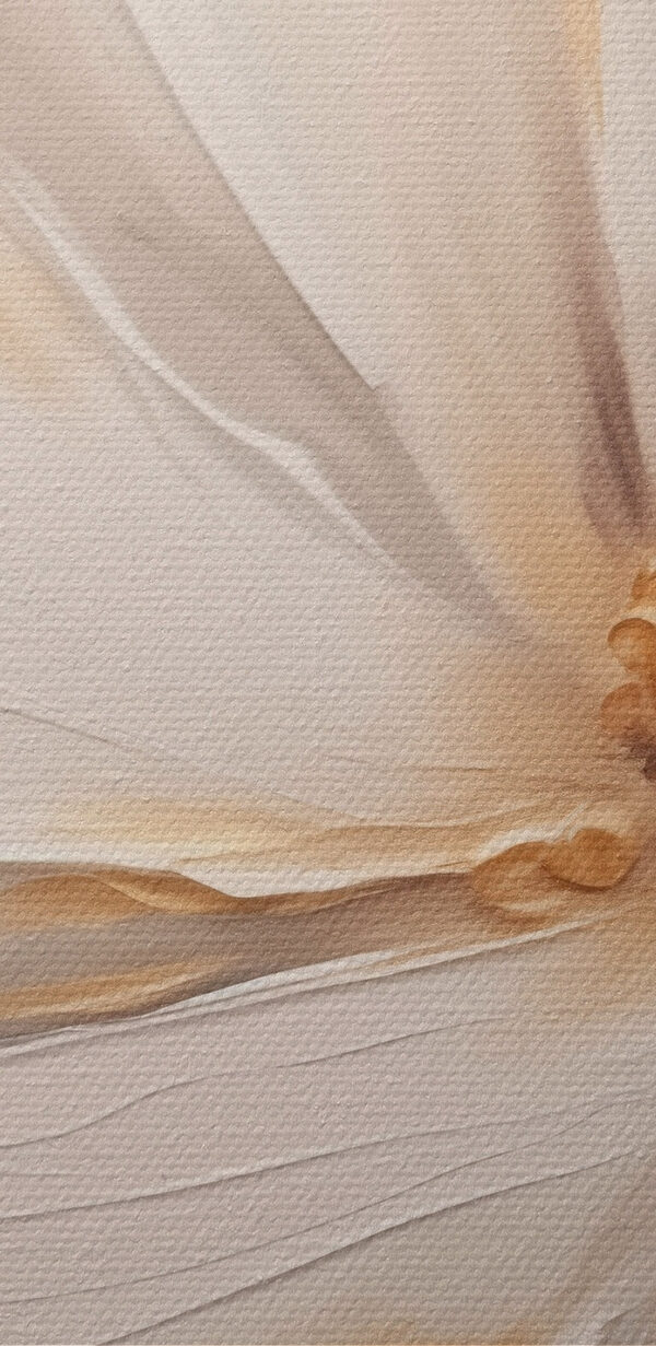 Pictura unei flori albe Pictura unei flori albe