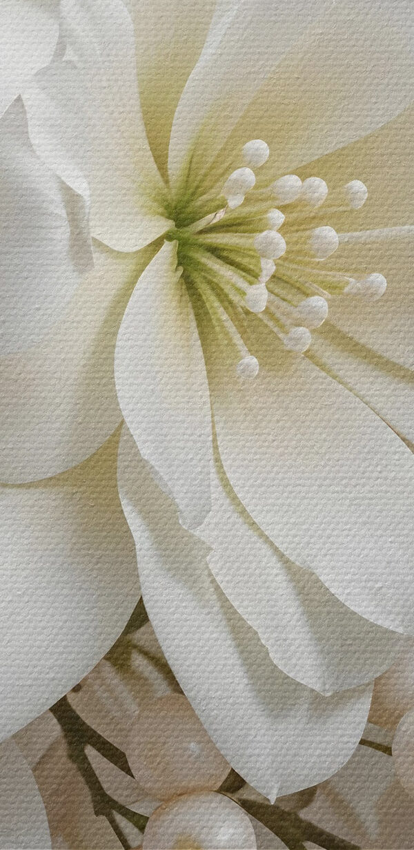 Buchet elegant de flori albe moi Buchet elegant de flori albe moi