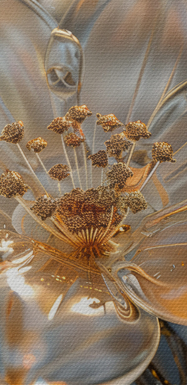 Flori delicate în nuanțe moi Flori delicate în nuanțe moi