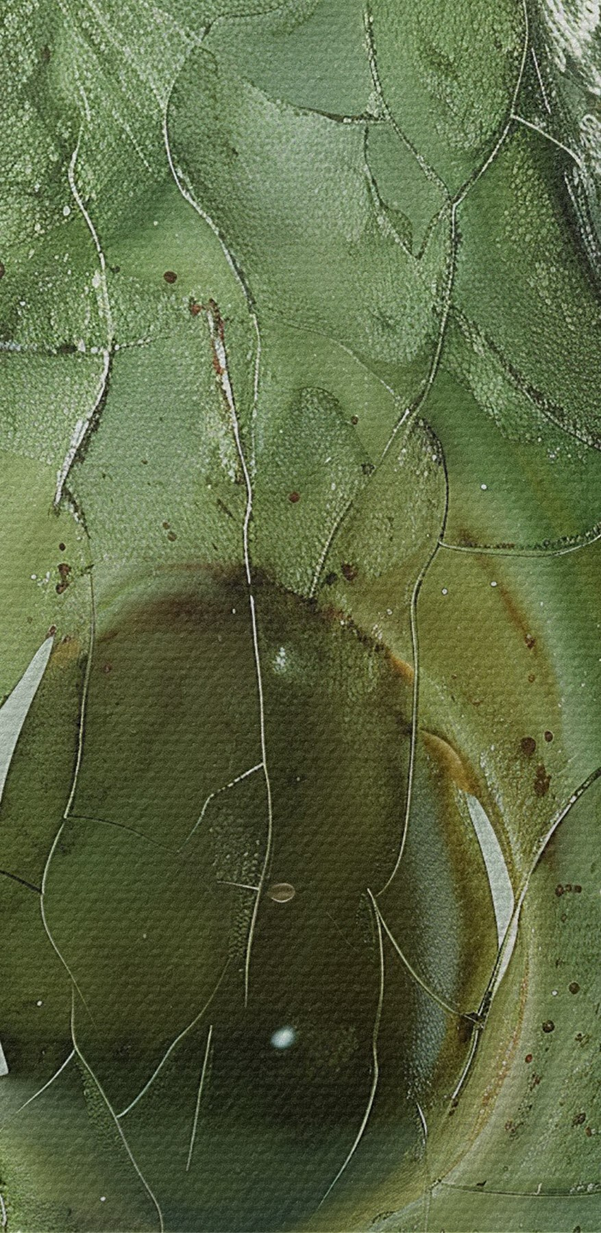 Interpretarea artistică a unui avocado copt Interpretarea artistică a unui avocado copt