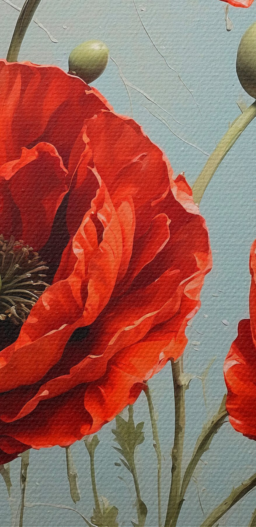 Poppy roșu vibrant în floare