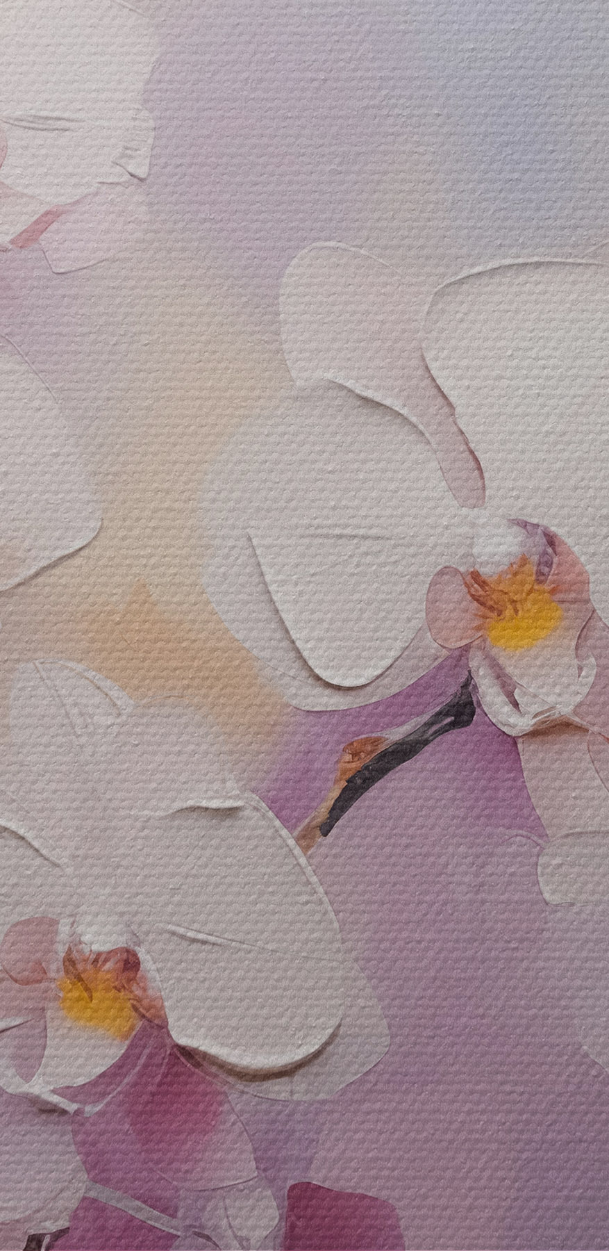 Pictura de flori albe