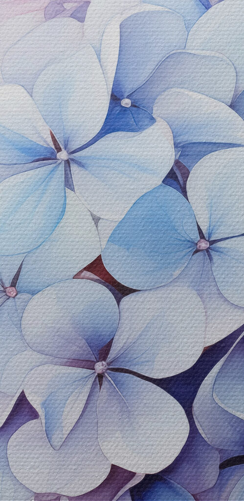 Painting of flowers on a white background Painting of flowers on a white background