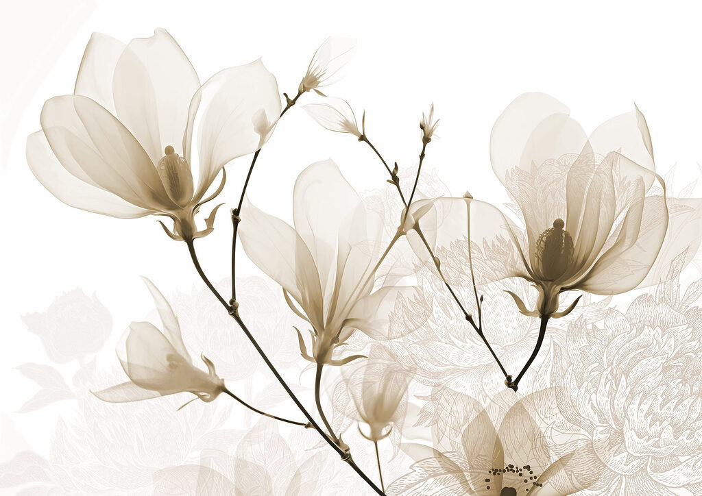 Inflorescențe delicate în nuanțe moi Inflorescențe delicate în nuanțe moi