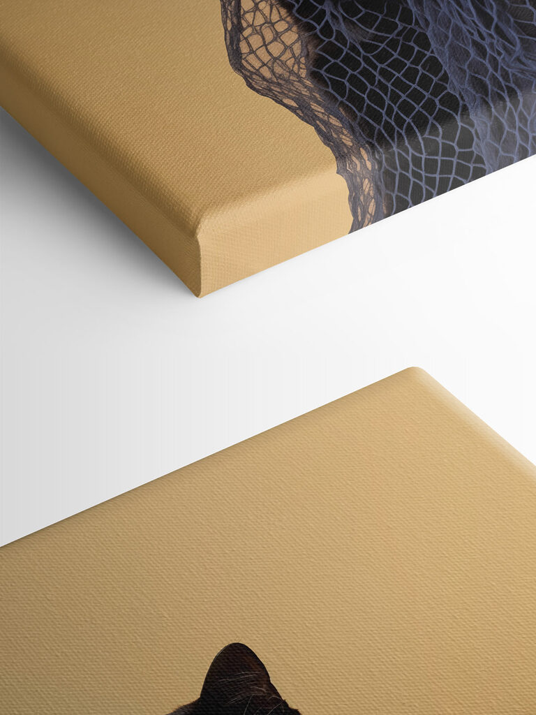 Cat wearing a net Cat wearing a net