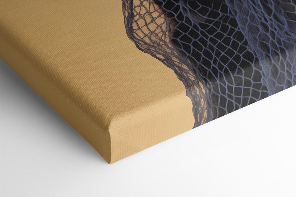 Cat wearing a net Cat wearing a net