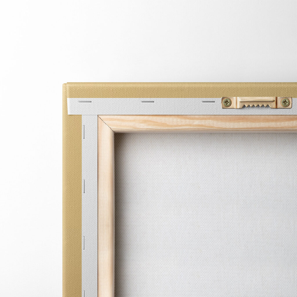 Cat wearing a net Cat wearing a net