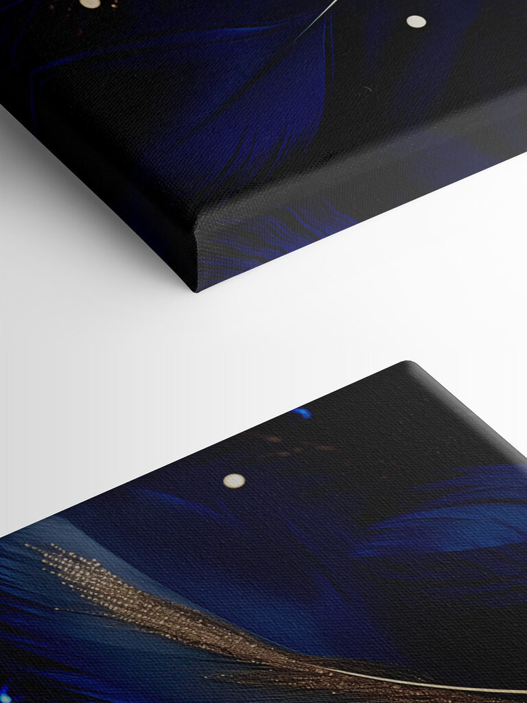 Elegant feathers on a deep background