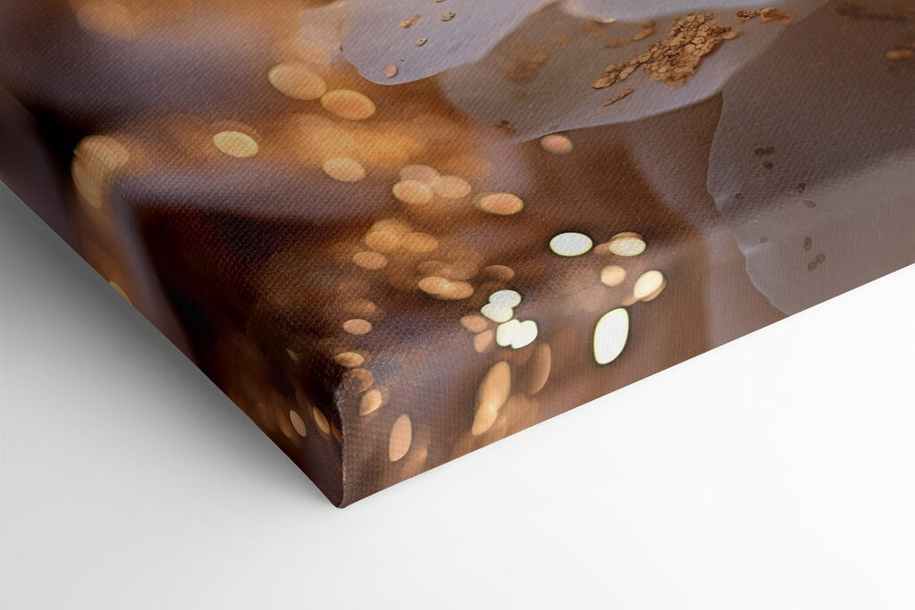 Elegant flower in soft lighting