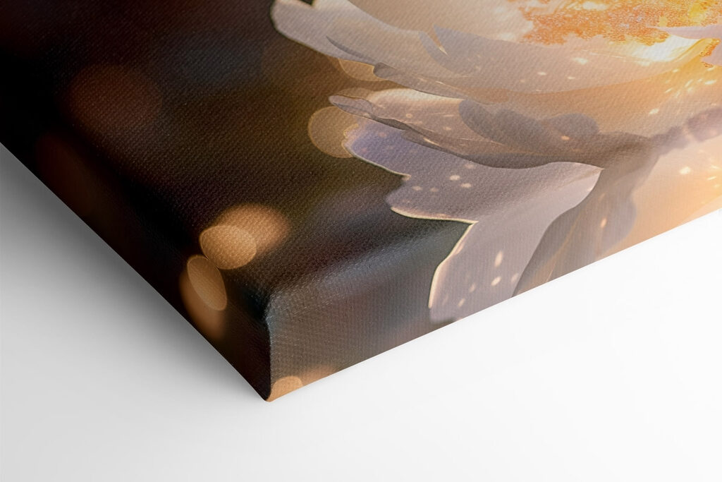 White flower with yellow center White flower with yellow center